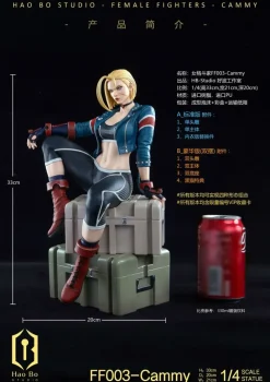 1/4 Scale Cammy - Street Fighter Resin Statue - Hao Bo Studio
