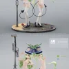 1/6 Scale Tachibana Hikari & Tachibana Nozomi - Blue Archive Statue - ABsinthe Studios