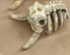 1/20 Scale World Zukan Mamoswine Skeleton - Pokemon Resin Statue - Jiang Studios