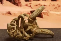 1/20 Scale World Zukan Mamoswine Skeleton - Pokemon Resin Statue - Jiang Studios