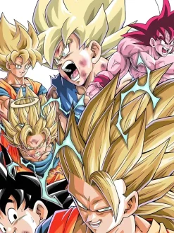 All Forms of Son Goku Decorative Painting - Dragon Ball - Xingkong Studio