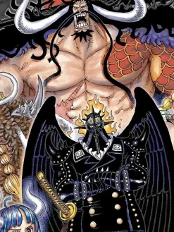 Beasts Pirates Decorative Painting - ONE PIECE - Xingkong Studio
