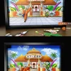 3D Decorative Paint of World Martial Arts Tournament - Dragon Ball Decorative Painting - Mystical Art Studios