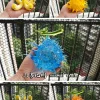 Hollow-Hollow Fruit & Rumble-Rumble Fruit - ONE PIECE Resin Statue - Demon Studios
