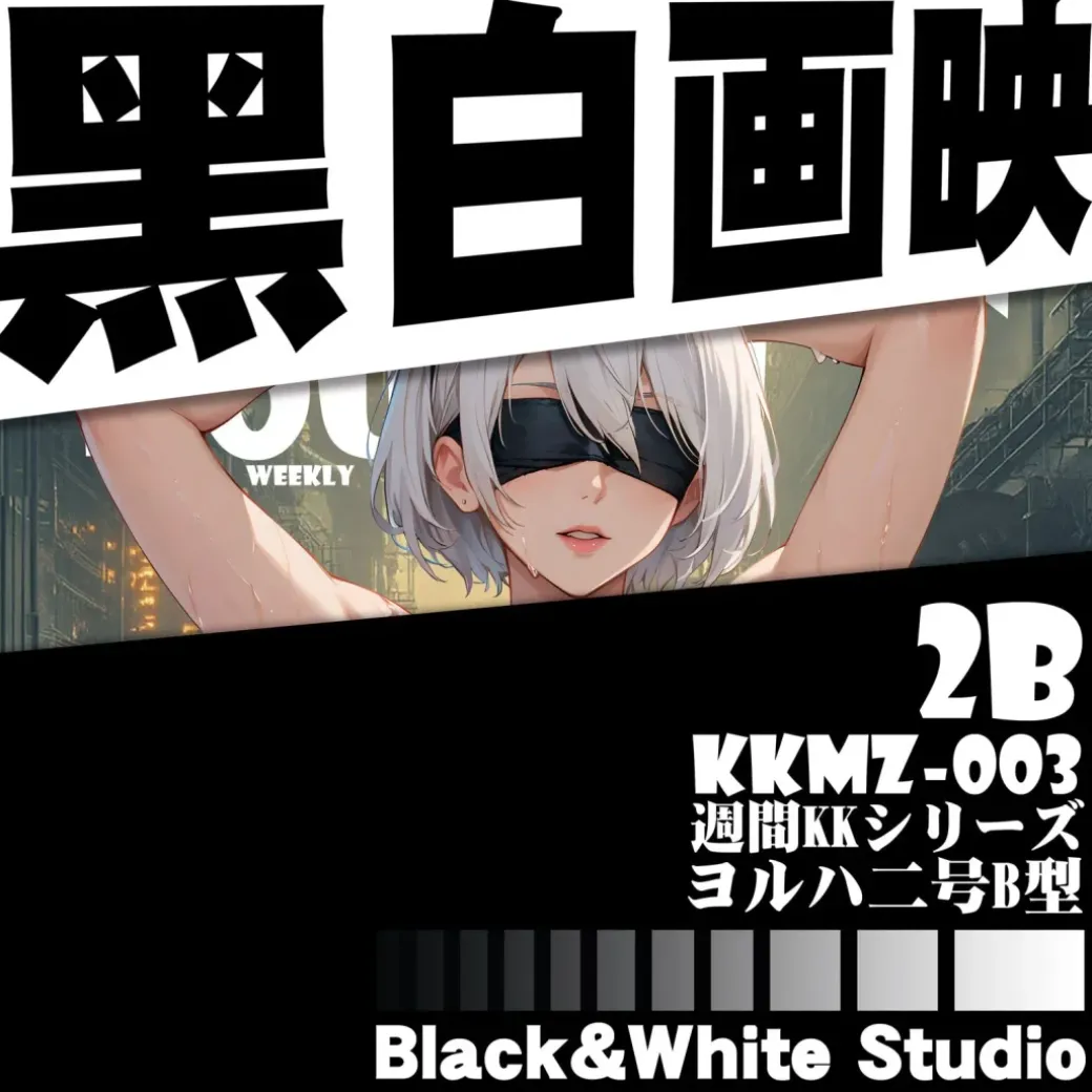 KKMZ-003 YoRHa No. 2 Type B 3D Decorative Painting - NieR:Automata - B&W Studio