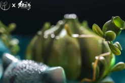 Mini & 1/1 Scale Bulbasaur - Pokemon Resin Statue - BangYing Studio