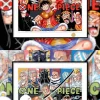Monkey D. Luffy & Roronoa Zoro Decorative Painting - ONE PIECE - H-TWO Studio