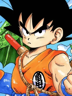 Son Goku's fury Decorative Painting - Dragon Ball - Xingkong Studio